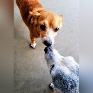 Meet your Posher, Alma